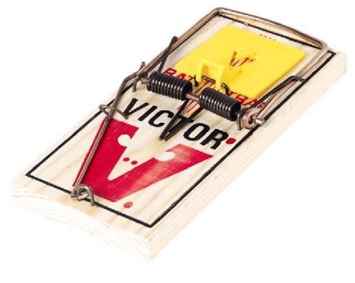 Dynamite Pest Control