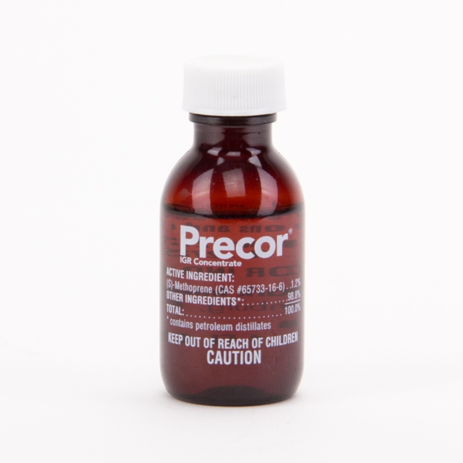 Dynamite Pest Control