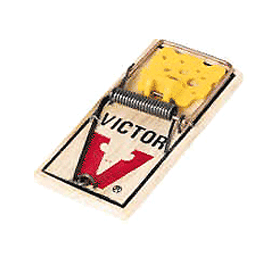 Dynamite Pest Control